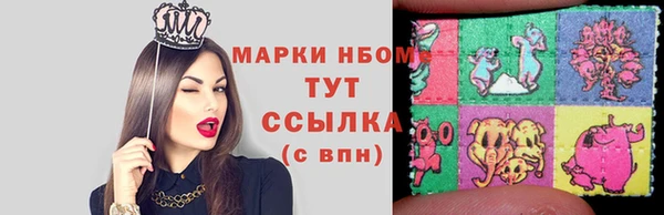 хмурый Сосновый Бор