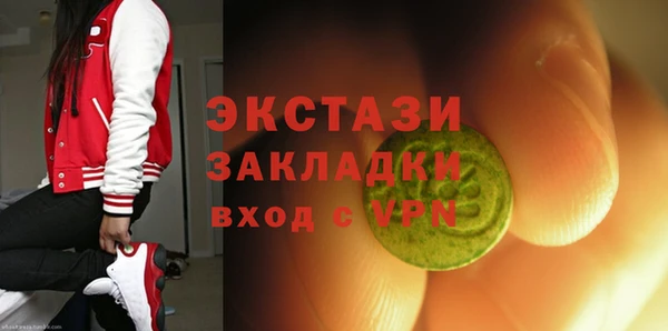 хмурый Сосновый Бор