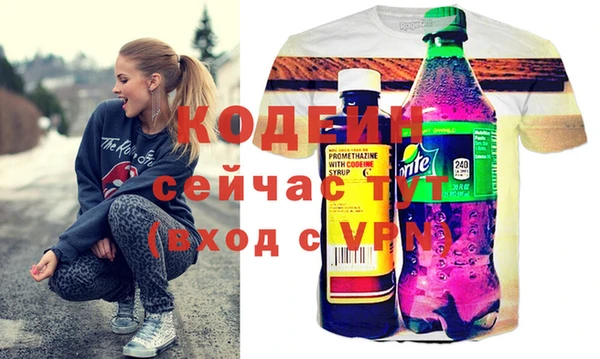 хмурый Сосновый Бор