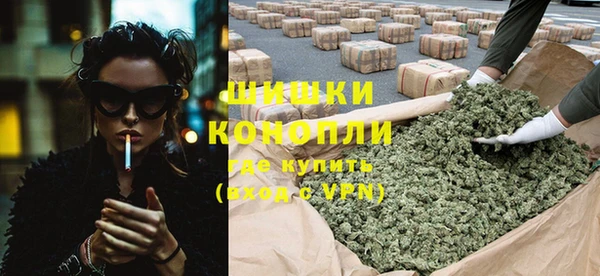 ПСИЛОЦИБИНОВЫЕ ГРИБЫ Белокуриха