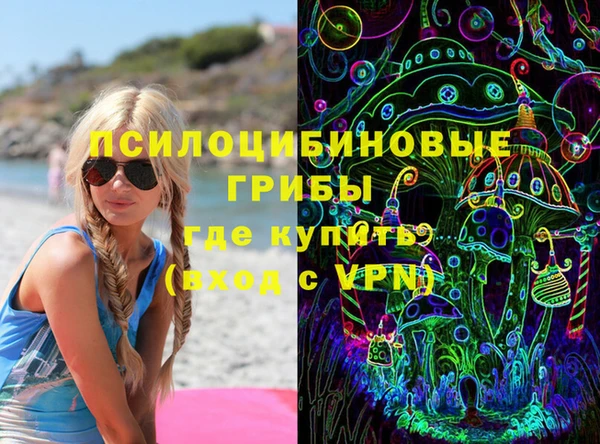 ПСИЛОЦИБИНОВЫЕ ГРИБЫ Белокуриха